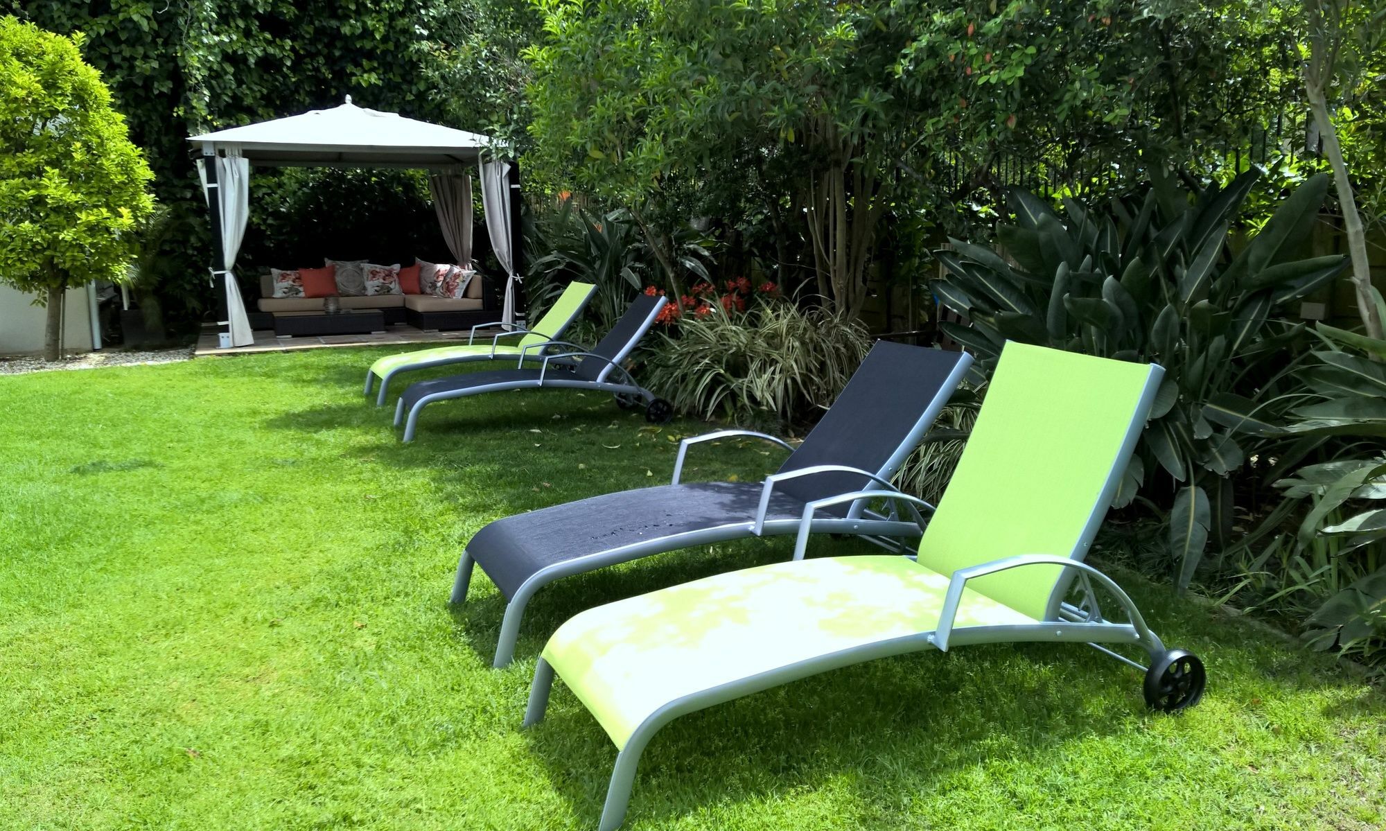 Wild Olive Guest House & Villa Κέιπ Τάουν Εξωτερικό φωτογραφία