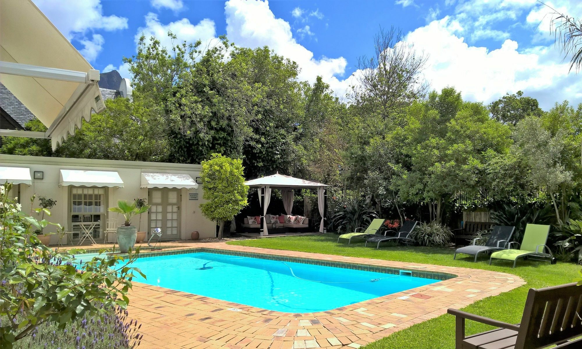 Wild Olive Guest House & Villa Κέιπ Τάουν Εξωτερικό φωτογραφία