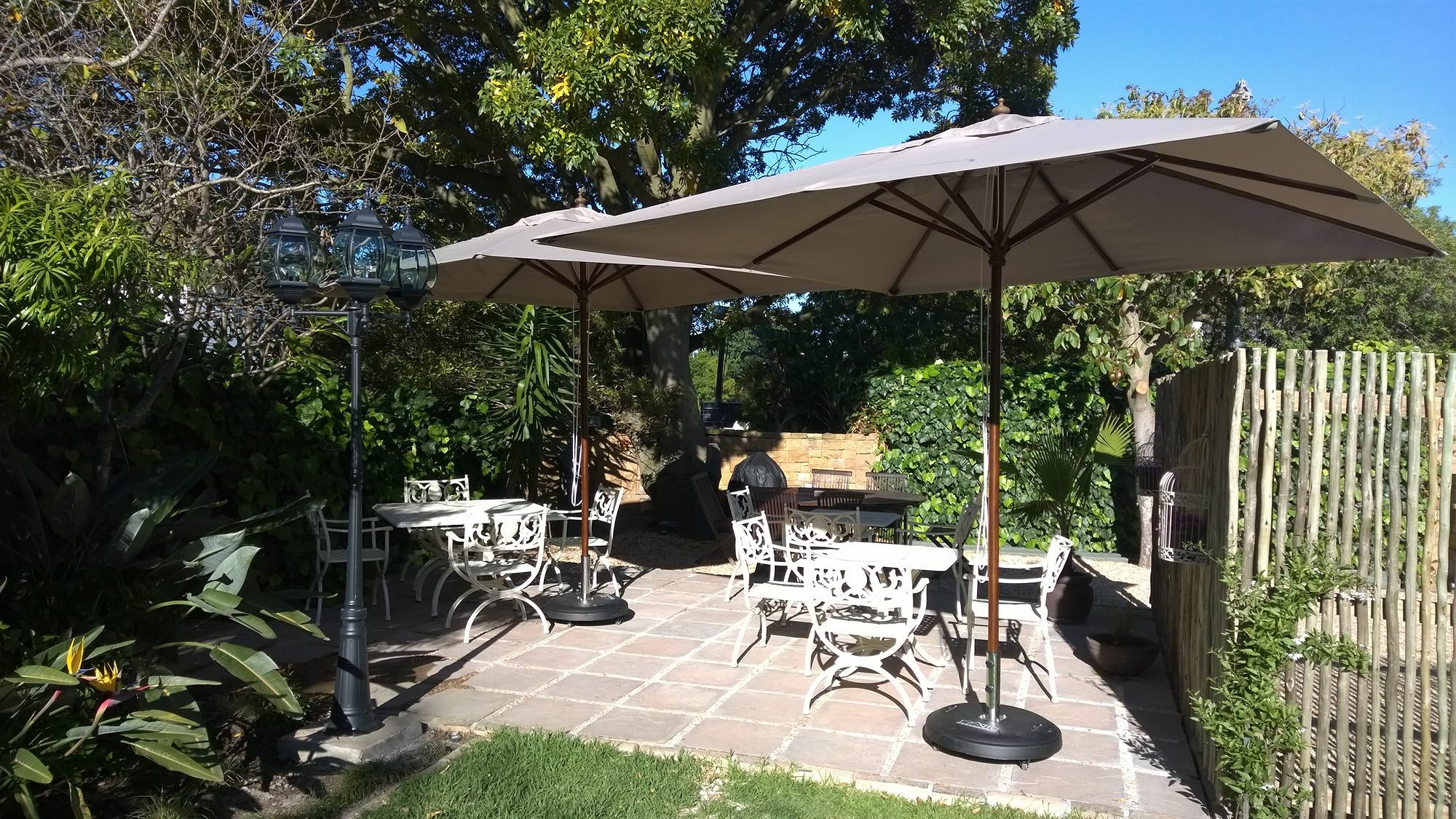 Wild Olive Guest House & Villa Κέιπ Τάουν Εξωτερικό φωτογραφία